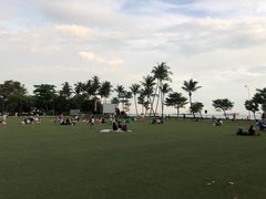 -巴拉湾海滩