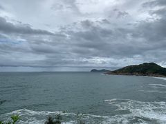 -广东惠东海龟国家级自然保护区