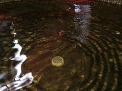 -泉城欧乐堡戏水湾艺术养生温泉