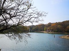 -紫霞湖公园