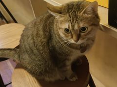 -H立方实景剧情密室(天河旗舰店)