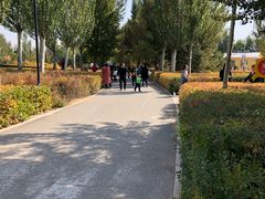 -大青山野生动物园