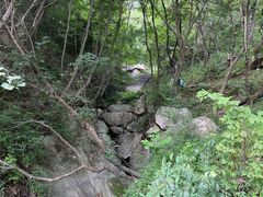 -王顺山国家森林公园