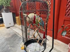 -程府宴(南长街四合院店)