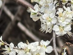 -白水寺森林公园