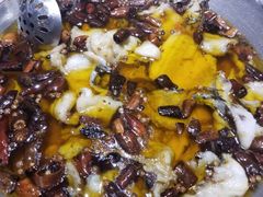 -鑫巴蜀(和平里店)