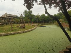 -石家庄市动物园