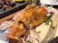-炉胜·炉端烧·居酒屋