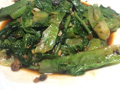 豆豉油麦菜-新白鹿餐厅(金鹰新街口店)