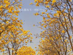 -洲头咀公园