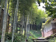 -莫干山风景区