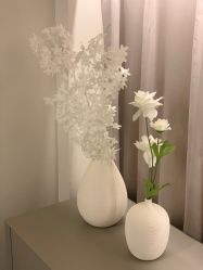 -安吉拉青春化管理中心