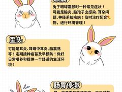 -守诺宠物医院·眼科· 特色牙科·异宠专科(虹口店)