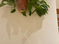 -素满香·素食自助餐(西安·民乐园店)