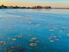 -贡湖湾湿地公园