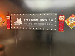 -70cat德文卷毛猫·缅因猫纯种猫舍