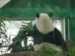 -广州动物园