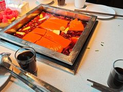 -红鼎坊·老成都火锅(新南门店)
