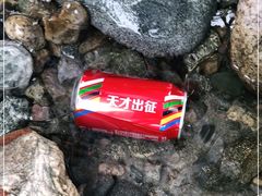 -虹口漂流