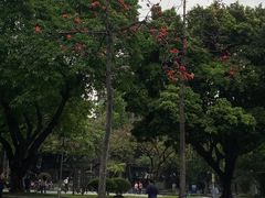 -垂虹公园