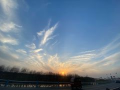 -合肥滨湖国家森林公园