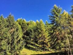 -硗碛藏寨·神木垒景区