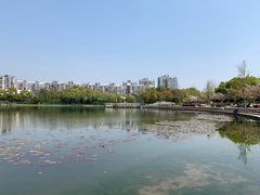 -新江湾城公园