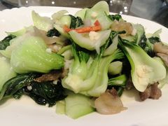 清炒小白菜-刘胖子家常菜·蹄花焖藕(富安街店)