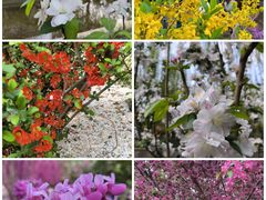 -海棠花溪(元大都城垣遗址公园)