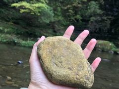 -黎坪国家森林公园