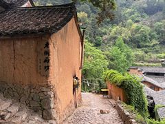 -杨家堂村