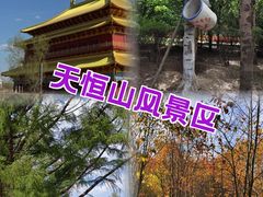 -張飛扒肉•四代传承(道外店)