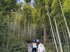 -东明山森林公园