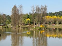 -佛冈森波拉度假区