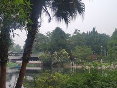 -桂湖森林公园