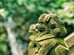 -宁波市保国寺古建筑博物馆