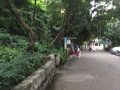 -晓港公园