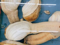 象牙蚌-明记海鲜大排档(巽寮湾店)