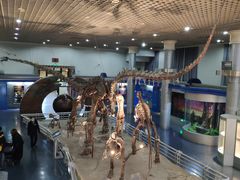 -国家自然博物馆