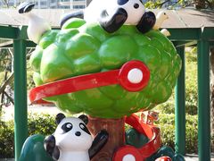 -石排湾郊野公园