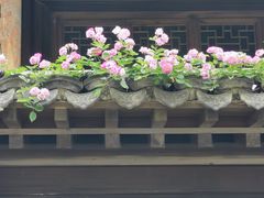 -芥子园