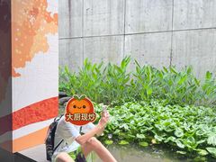 -中国湿地博物馆