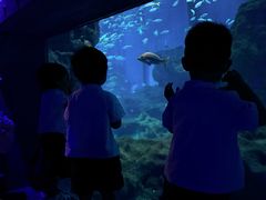 -海合安武汉极地海洋公园