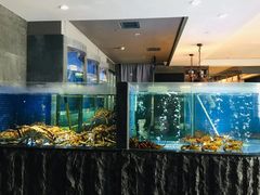 水产区-荣轩(新荣记环球金融中心店)