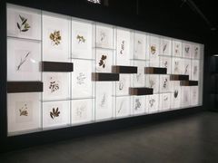 景点-李时珍纪念馆