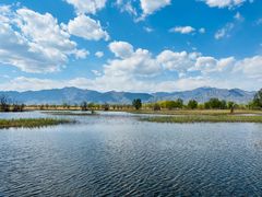 -野鸭湖国家湿地公园