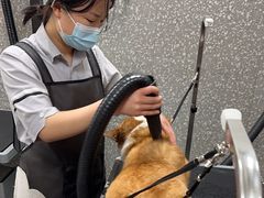 -宠物家(角门东店)