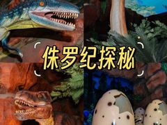 -长鹿旅游休博园