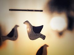 -Ginko银子(青龙街店)