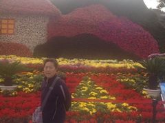 iphone_upload_pic-迎泽公园